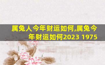 属兔人今年财运如何,属兔今年财运如何2023 1975